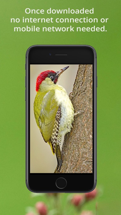 Zrzuty ekranu Bird Song Id UK